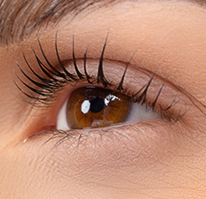 lash-lyfting-lysha