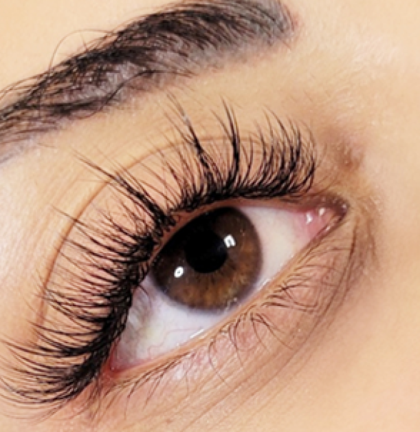 lysha-cejas grandes