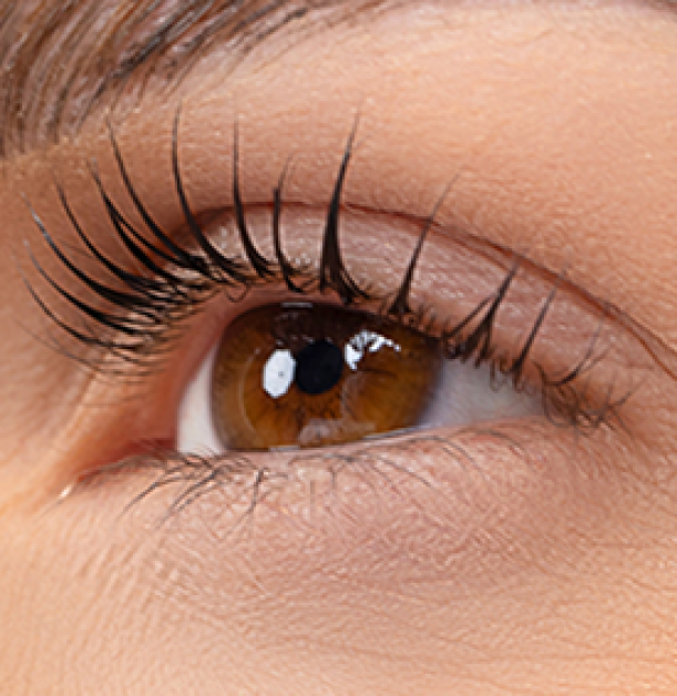 lash-lyfting-lysha